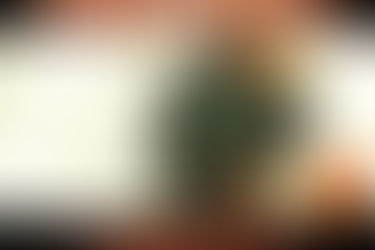 Novo Teaser de Street Fighter Mostra o Blanka Soltando Descarga Elétrica pra Cima do Ryu (Jason Momoa tá irreconhecível)