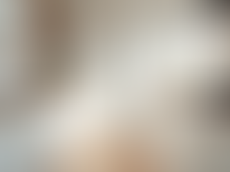 Transform Your Space with Modern Modular Kitchen Designs