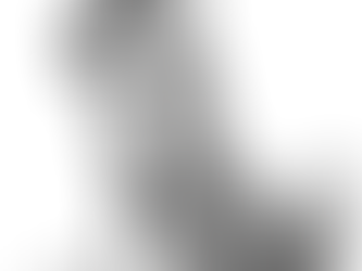 Meet Wallie: The Lone Leader with a Loyal Heart