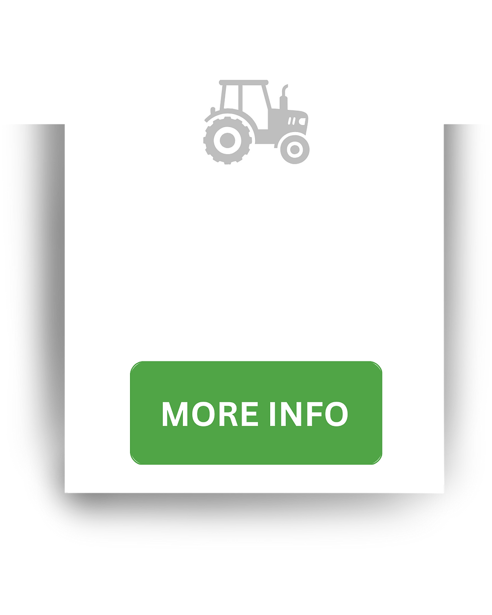 homepage (2).png