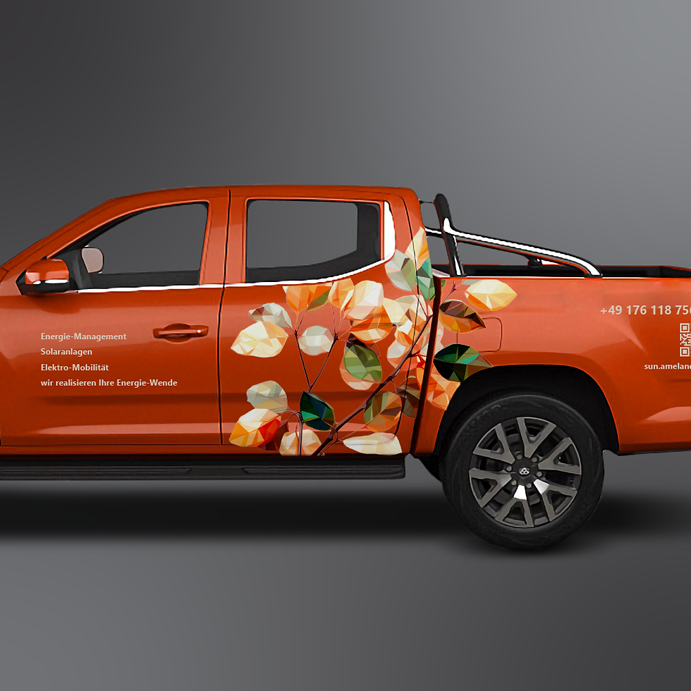 Fjontwerp grafisch ontwerp Autobelettering wrap