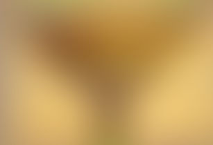 La Mappa deII' Inferno