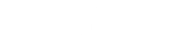 Paramount Vehicle Outfitters Logo white with TM trademark symbol- UHD - 70 inches wide.png