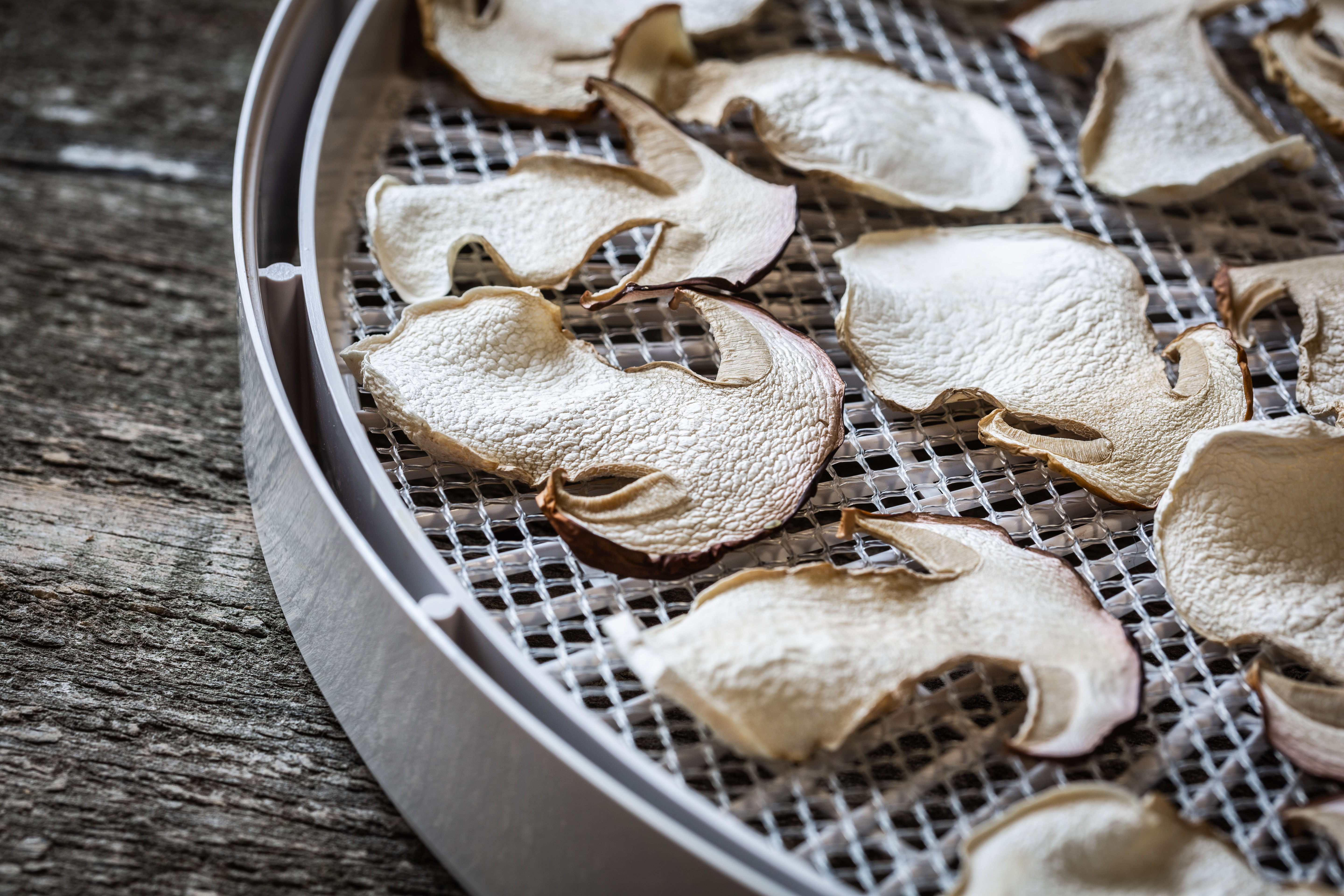 Dehydrated Oyster Mushrooms