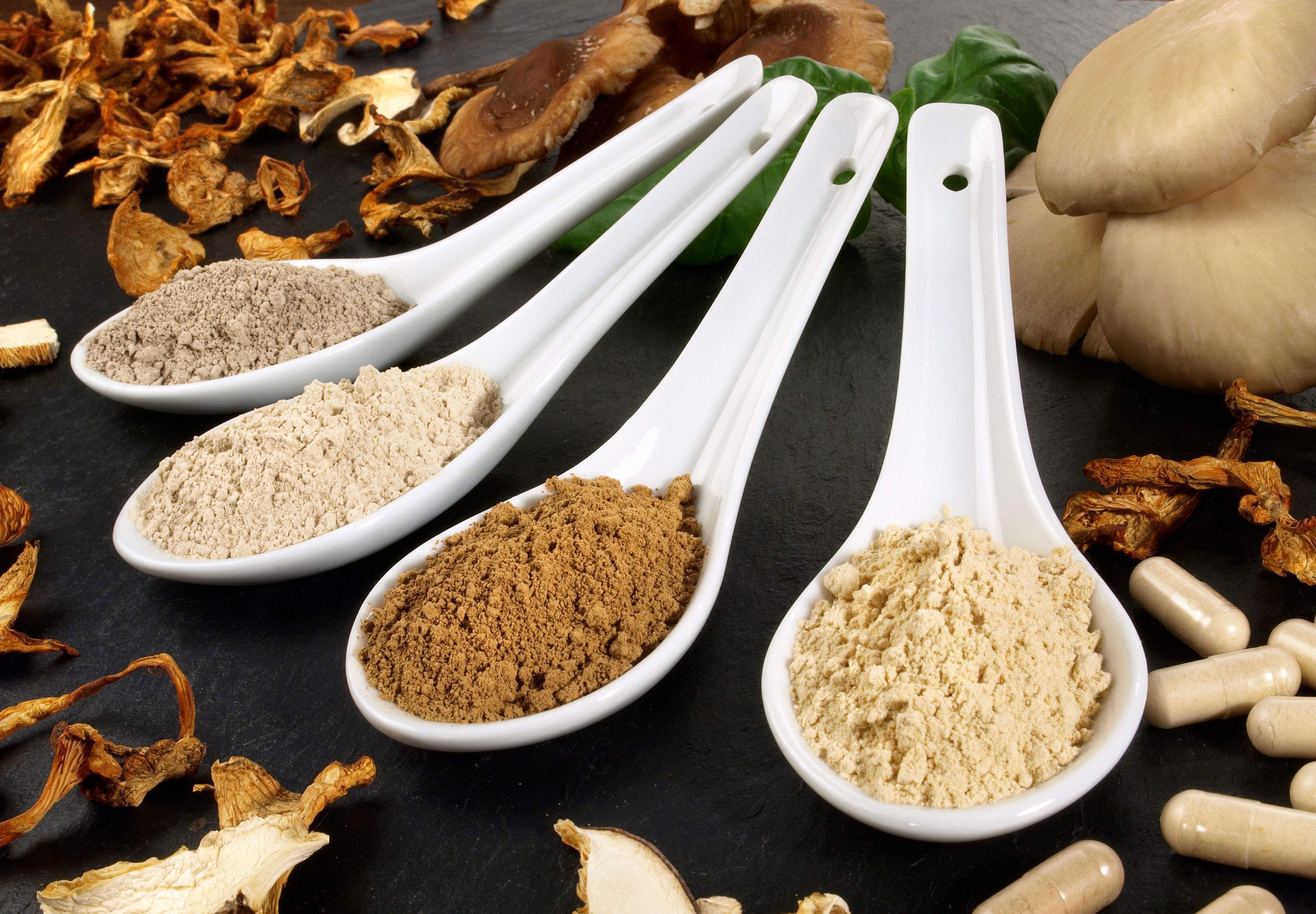 Oyster Mushroom Powder