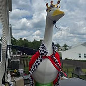 Royal King Goose.jpg