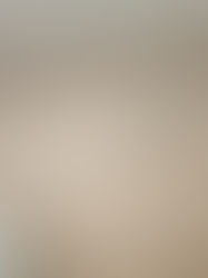 Oh non Dumbo s'envole !