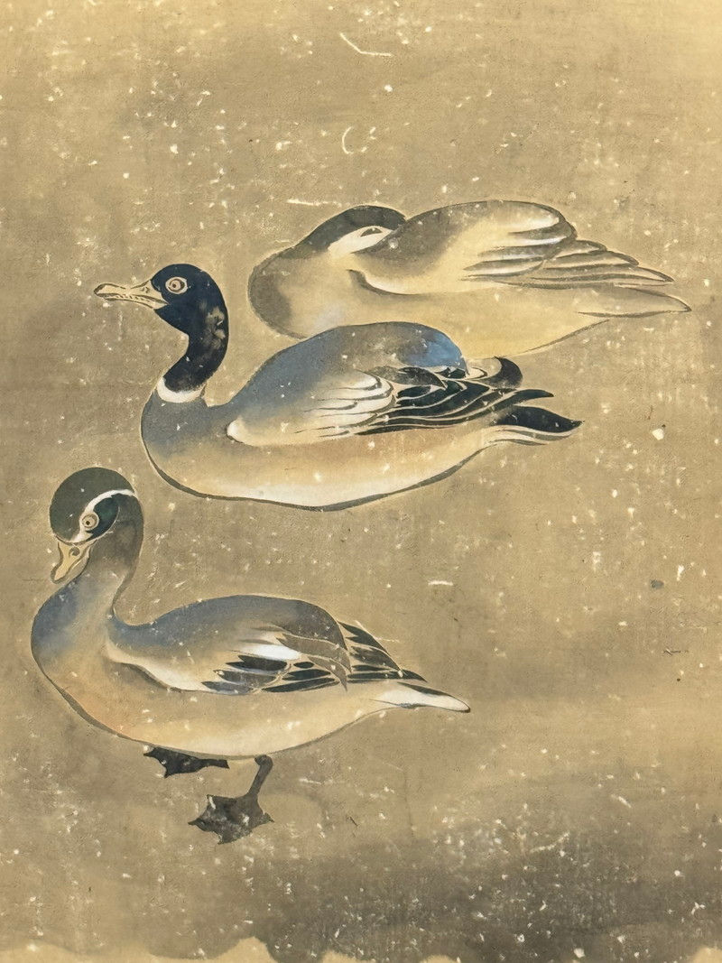 サムネイル： 66v　俵屋宗達 筆 群鴨図 屏風 高さ 約172cm 六曲一双 紙本肉筆 花鳥図 日本画