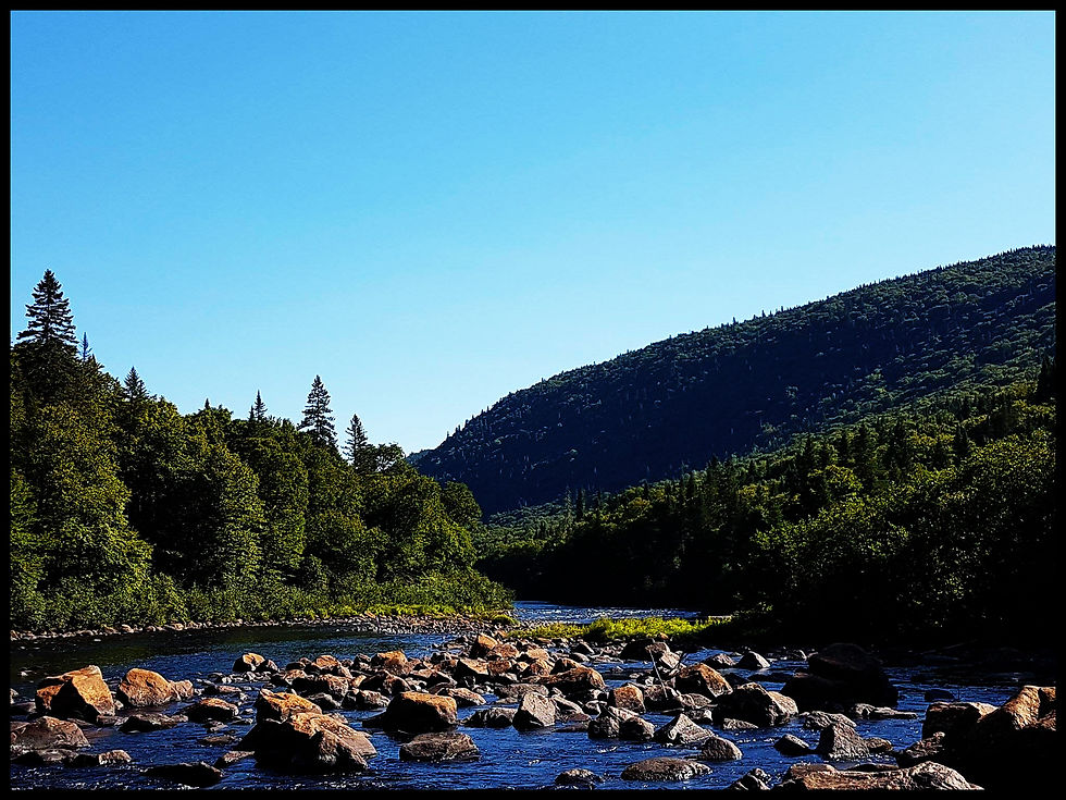 Le Parc Jacques Cartier