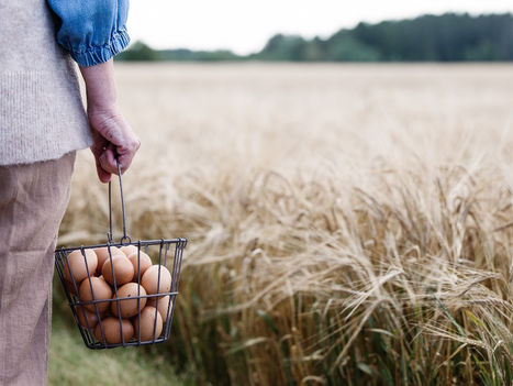Østfoldprodusenter bidro sterkt til rekord i lokalmat-salg