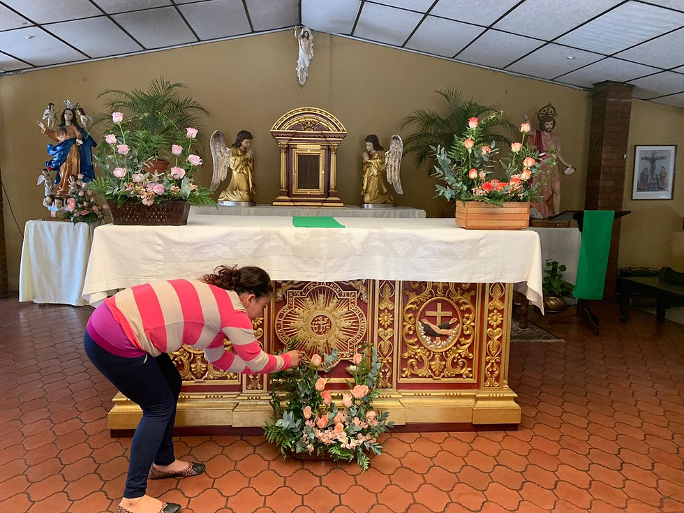Clases de floristería