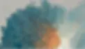 Fondo.webp