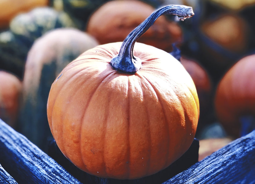 Harvest_edited.jpg