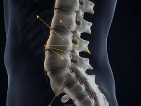 A dramatic, editorial-style medical illustration of the lumbar spine viewed from a three-quarter posterior angle. Translucent vertebrae with visible facet joints, subtle force vectors rendered as clean directional arrows showing posterior-to-anterior and superoinferior thrust lines passing through the joint plane. Deep charcoal background. The illustration style blends anatomical precision with bold graphic design—think Scientific American meets a high-end medical journal cover. Color palette: deep navy, warm white bone tones, and a single accent color in amber or gold highlighting the vector arrows. No text. Cinematic lighting from above left casting soft shadows on the vertebral bodies.
