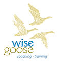 Wise goose logo QXP#E0A673 HiRes (2).jpg