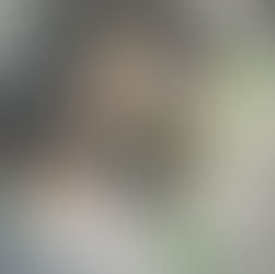 Decor carte deschisă