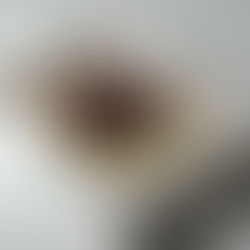 Pavlova (fara decor personalizat)