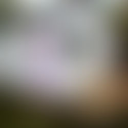 Dream Playhouse Makeover