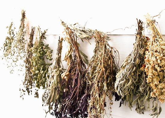herbs-4481005_1280_edited.jpg