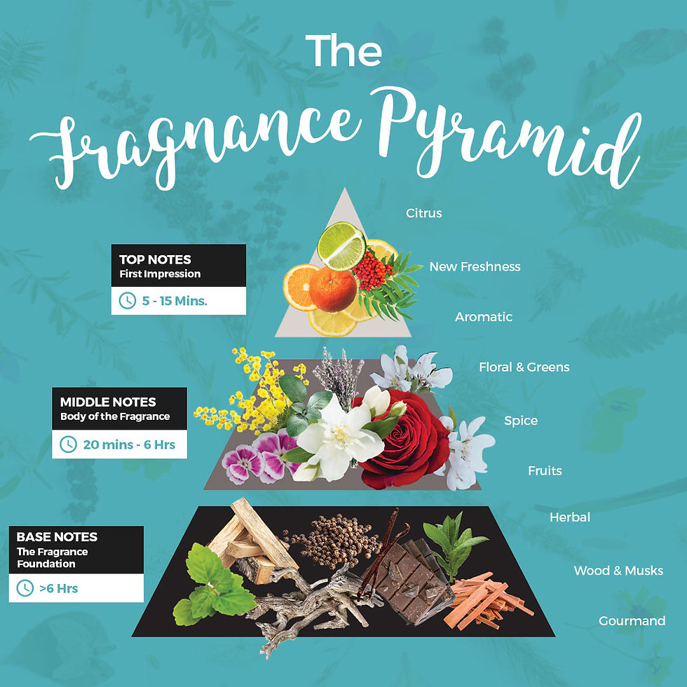 The Fragrance Pyramid
