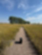 IMG_9038.jpeg