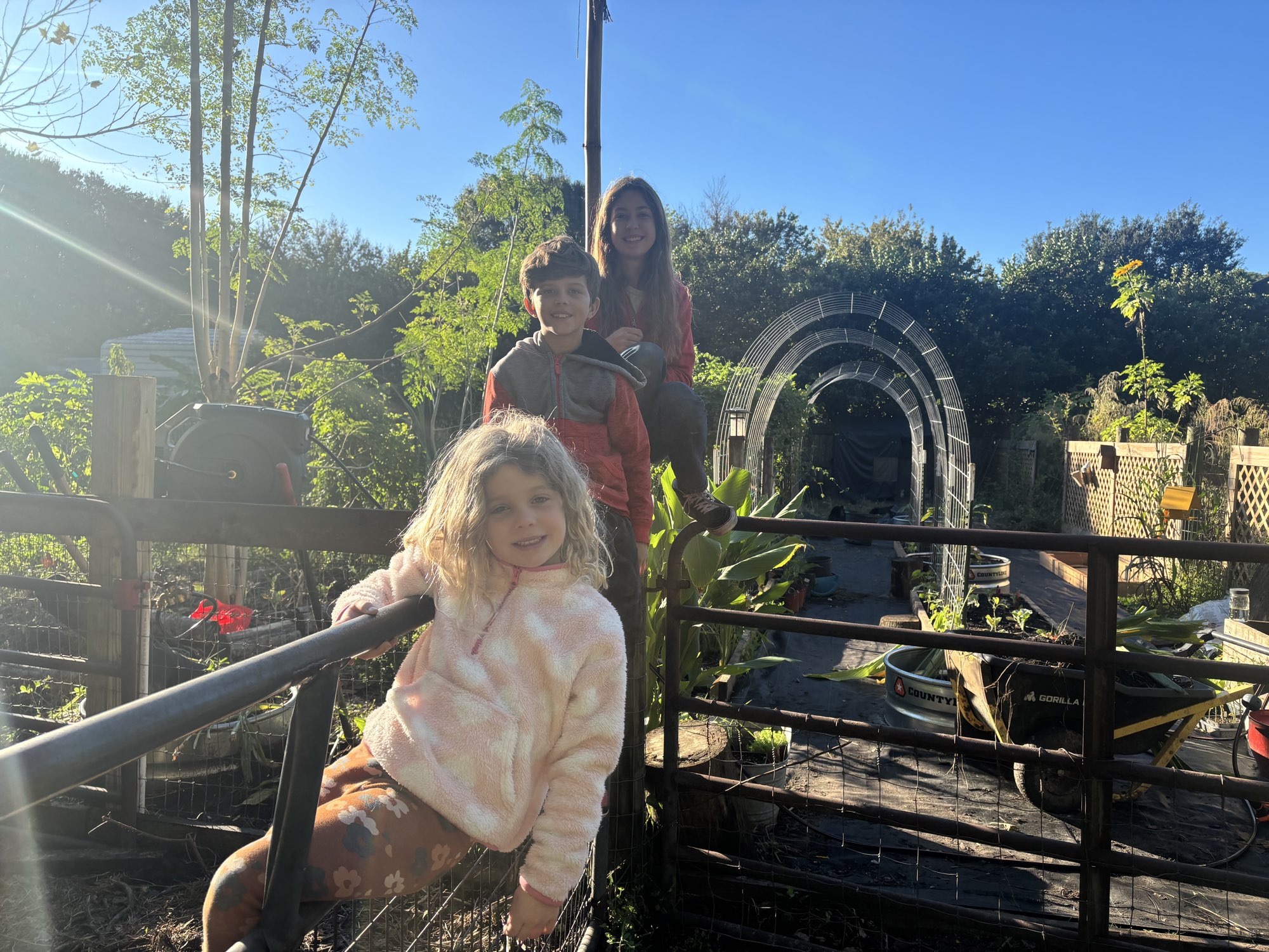 Writer: Ashley Craft