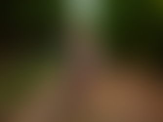 Unlocking the Symbolism of Nightmares: Jungian Psychology and Shadow Work for Dream Interpretation