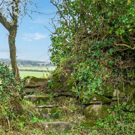 Cornish Stile