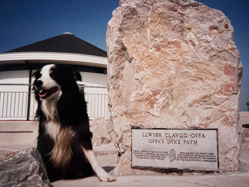 Last week’s news about King Charles opening the world’s longest coastal path around England inspired us to share a piece we recently discovered among Ronnie’s writings. With the spotlight now firmly on our National Trails, it felt like the perfect moment for this blog, a chance to highlight both the joys and the challenges these routes bring.
