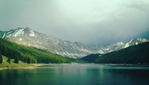 Road Trip Recap (Plus a Dog Fight) and Life Update 2