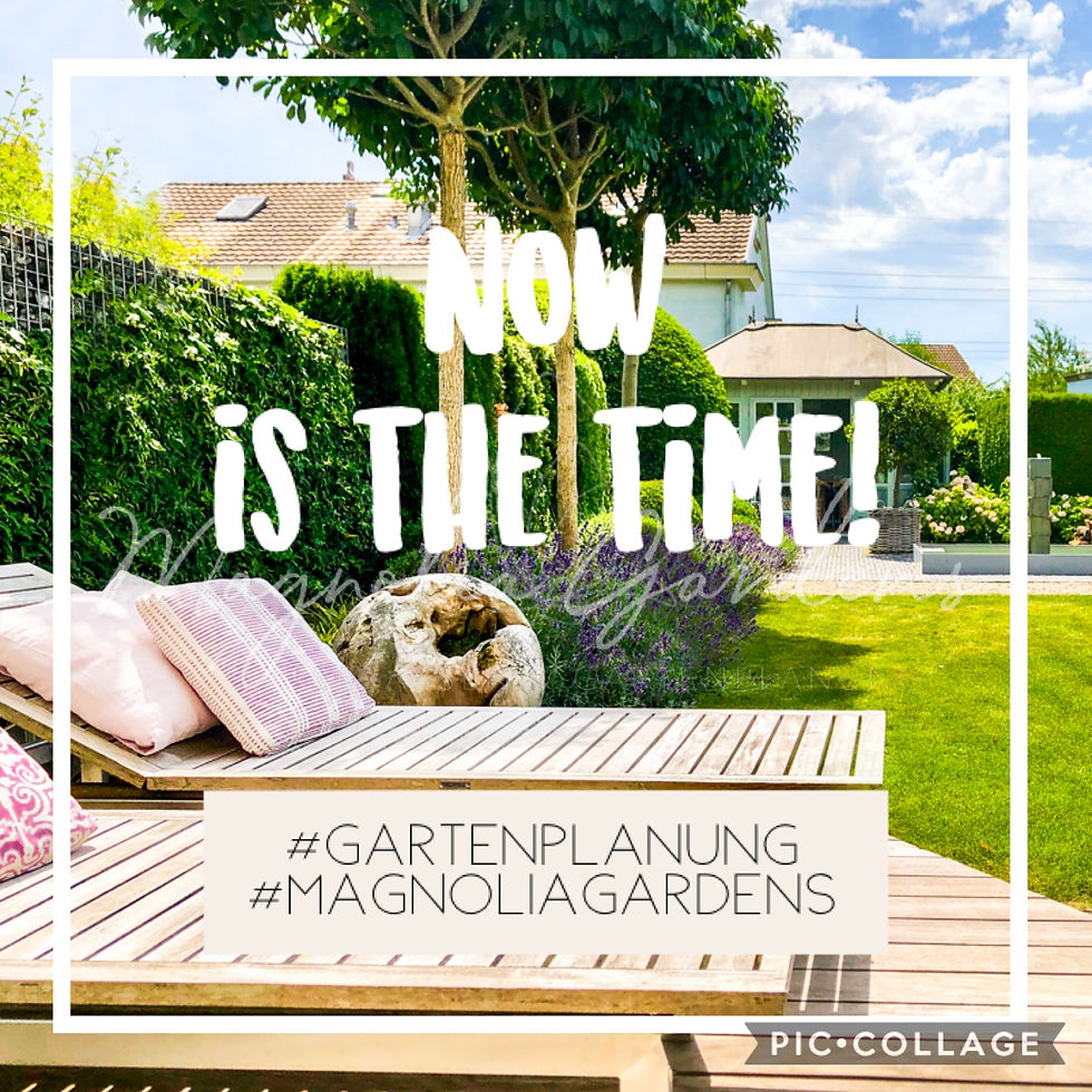 Gartengestaltung, Terrassenplanung, Pflanzplanung, Garten, Terrasse, Magnolia Outdoors, Magnolia Gardens