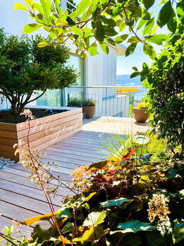 magnolia-gardens-gartengestaltung-terrassengestaltung-planung-pflanzplanung-1201-19.jpg