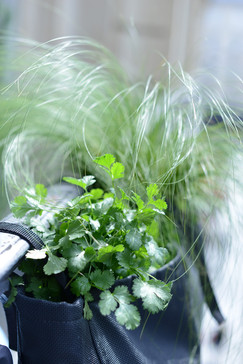 BACSAC, Pflanztasche, Batyline, Geotextil, Balkon, Terrasse, Gartengestaltung, Terrassenplanung, Leichtgewicht, Magnolia Outdoors