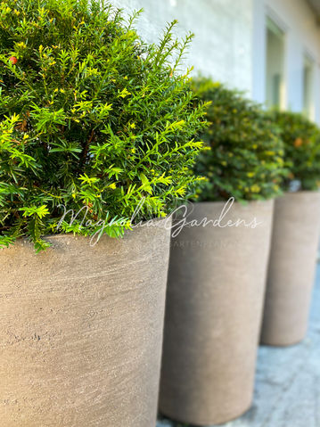 magnolia-gardens-gartengestaltung-terrassengestaltung-planung-pflanzplanung-1201-02.jpg