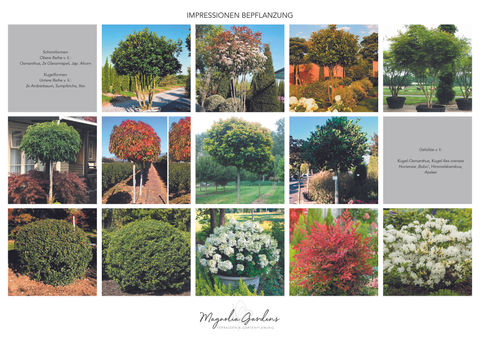 magnolia-gardens-gartenplanung-referenzbilder-stimmungsbilder-5.jpg