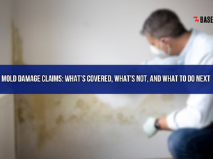 Mold Damage Claims: What’s Covered, What’s Not, and What to Do Next