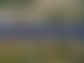 St Lucie County Public Adjuster Helping You Maximize Insurance Claims