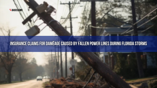 Insurance Claims for Damage Caused by Fallen Power Lines During Florida Storms