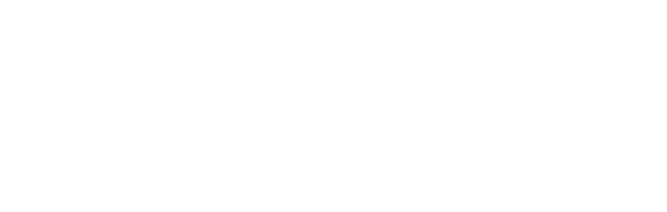 Portfolio- Delia market .png