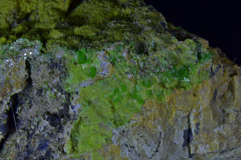 Thumbnail: yellow mottramite on green pyromorphite on veinstone