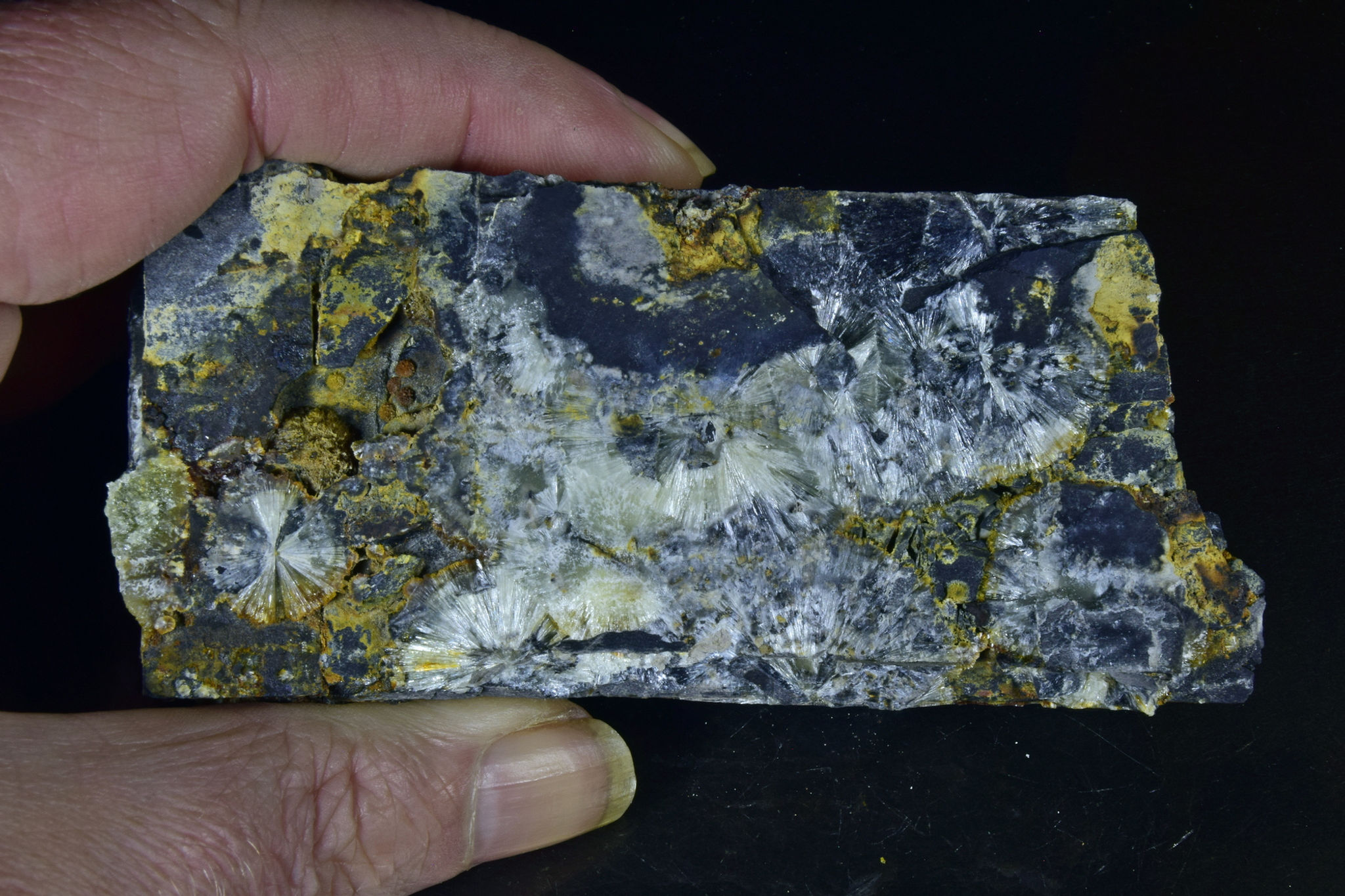 Wavellite on shale