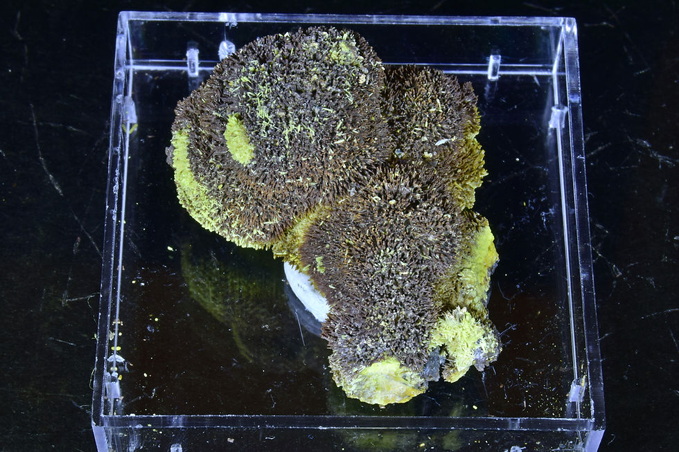 Thumbnail: Brown plumbogummite on Mimetite