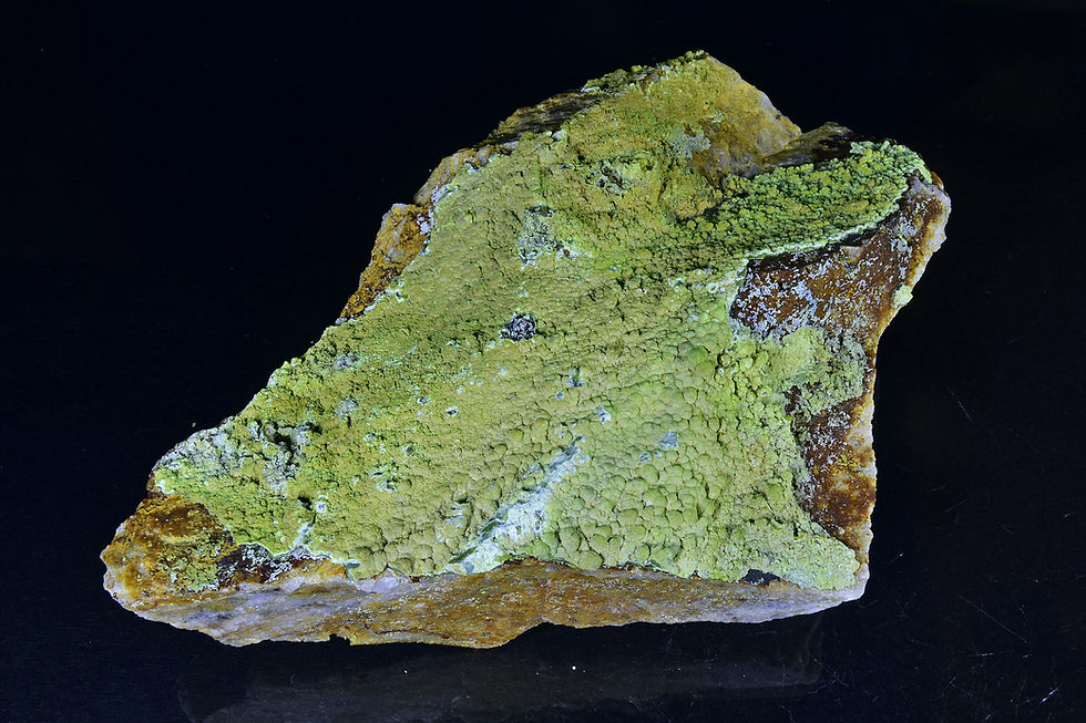 Thumbnail: Botryoidal yellow-green Pyromorphite on matrix