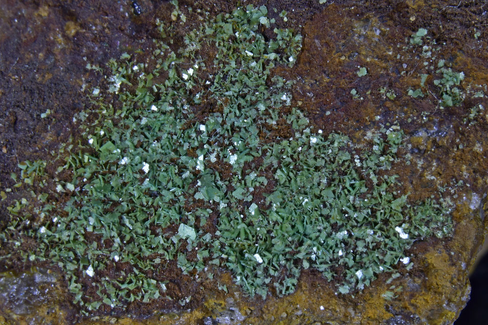 zeunerite crystals on quartz