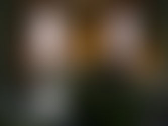 Designing a Victorian-Inspired Guest Room