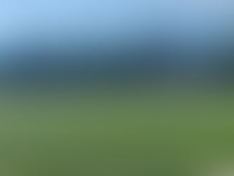 旭川フェスティバル