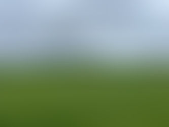 オホーツクフェスティバル