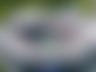 Why the Credit One Charleston Open Is the Perfect Time to Experience Daniel Island - Credit One Charleston Open Daniel Island 2026