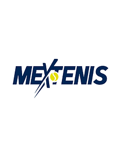 img-proyectos-mextenis.png