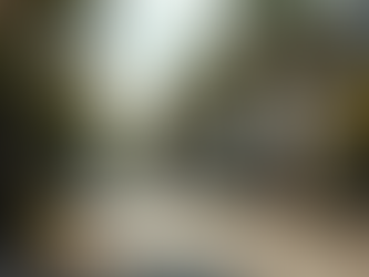 Charleston Property Agent Guide: Choosing the Best Real Estate Agent in Charleston